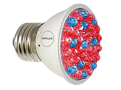 RubyLux Red & Blue LED Bulb