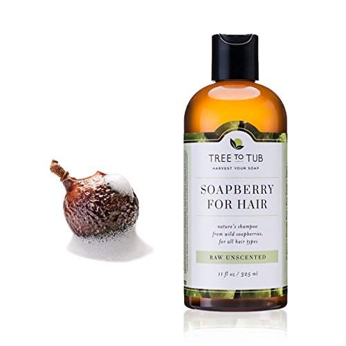 Tree to Tub Organic Shampoo - Soft, Shiny Hair with pH Balanced All Natural Shampoo for Dandruff